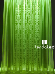 tendaled fresh green